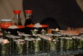 /album/kepgaleria-sushi/sushinight-jan-2007-007-jpg/